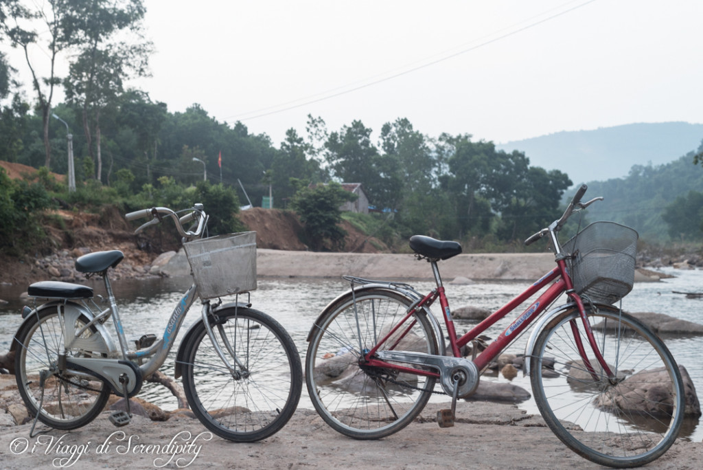 GTV foresta bicicletta